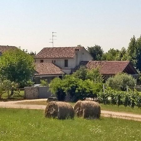 Bed and Breakfast Il Giuggiolo Конельяно Екстер'єр фото