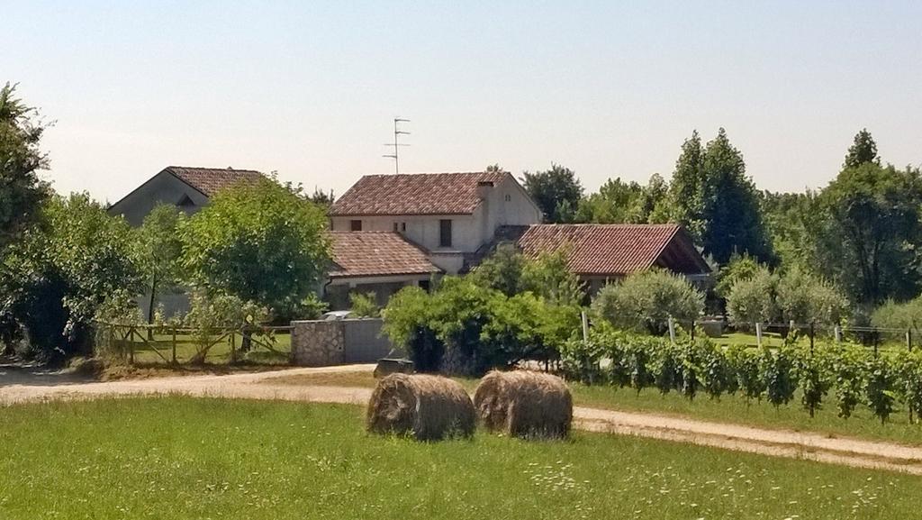 Bed and Breakfast Il Giuggiolo Конельяно Екстер'єр фото
