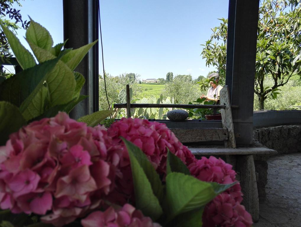 Bed and Breakfast Il Giuggiolo Конельяно Екстер'єр фото